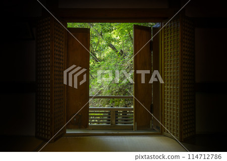 Fresh greenery in Kyoto - Atagi Nenbutsu-ji Temple - Fresh greenery seen from the main hall 114712786