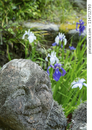 京都新綠、愛宕念佛寺、羅漢山、森若 114712793