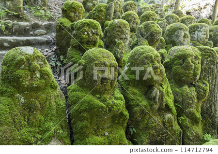 新綠京都、愛宕念佛寺、表情各異的羅漢像 114712794