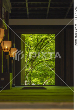 Kyoto's fresh greenery: Atagi Nenbutsu-ji Temple main hall 114712800