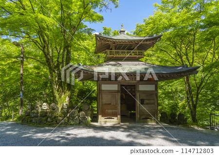 京都新綠、愛宕念佛寺、親愛觀音堂 114712803