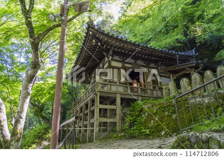 京都新綠、愛宕念佛寺、地藏堂 114712806