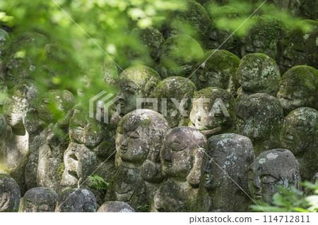 Kyoto's fresh greenery: Atagi Nenbutsu-ji Temple, arhat statues with various expressions 114712811