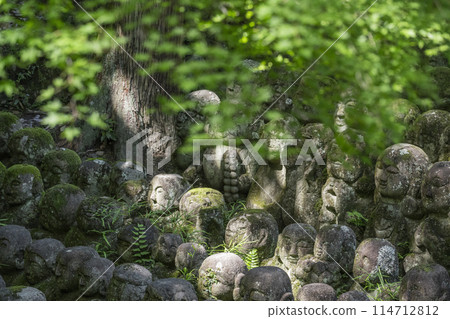 Kyoto's fresh greenery: Atagi Nenbutsu-ji Temple, arhat statues with various expressions 114712812