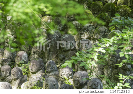 Kyoto's fresh greenery: Atagi Nenbutsu-ji Temple, arhat statues with various expressions 114712813