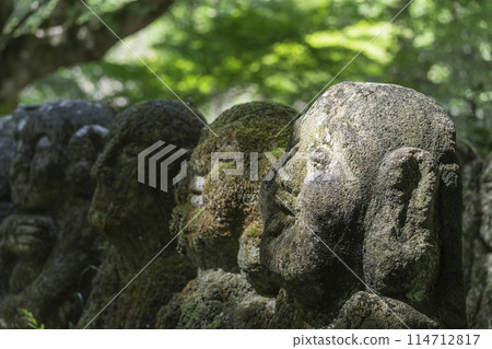 Kyoto's fresh greenery: Atagi Nenbutsu-ji Temple, arhat statues with various expressions 114712817