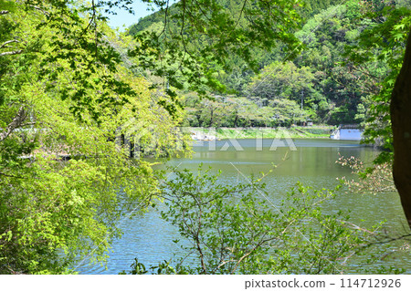 鐮北湖 美麗的新綠湖畔 春天的景色 鐮北湖 美麗的新綠湖畔 春天的景色 114712926