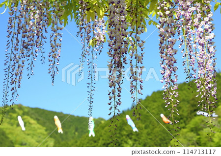 Shiroi Omachi Fuji Park 114713117