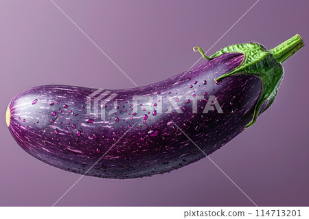 Fresh eggplant studio photo 1 AI generated image 114713201