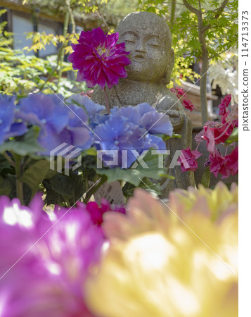 Indian Peony, Hydrangea and Jizo Indian Peony, Hydrangea and Jizo 114713373