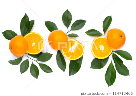 Orange fruit with green leaves on white background. 114713466