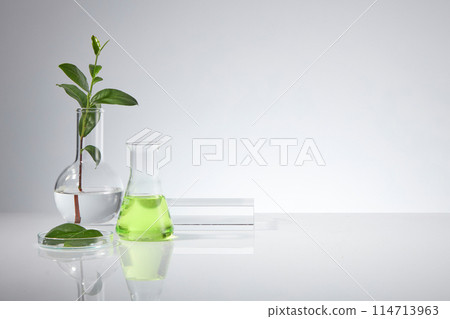 Green tea and laboratory theme photograph on white texture, a boiling flask with a green tea branch decorated, an erlenmeyer flask, a petri dish and blank pedestal placed on the left side of photo Green tea and laboratory theme photograph on white texture, a boiling flask with a green tea branch decorated, an erlenmeyer flask, a petri dish and blank pedestal placed on the left side of photo 114713963