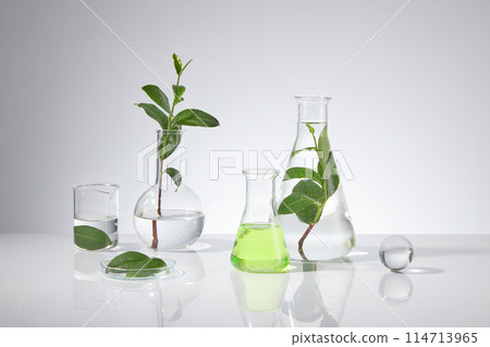Plenty experiment instruments displayed on white table top over white background with green tea ingredient decoration, blank space for adding text and elements of designing Plenty experiment instruments displayed on white table top over white background with green tea ingredient decoration, blank space for adding text and elements of designing 114713965