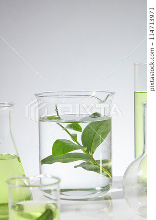 A creative photo with the main subject being a beaker placed in the middle, containing some transparent liquid and a sprig of fresh green tea, decorated by some lab items blurred around, front view 114713971
