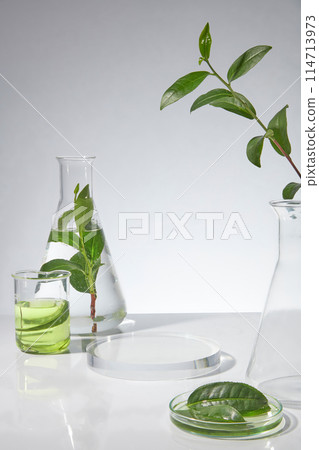 Frontal shot photo on white background, a blank glass pedestal in round shaped placed in center with some experiment utensils and fresh green tea decorated around. Blank space for text Frontal shot photo on white background, a blank glass pedestal in round shaped placed in center with some experiment utensils and fresh green tea decorated around. Blank space for text 114713973