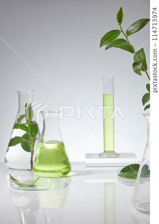 Vertical photo of green tea theme for advertise nature product. Green tea is the most common ingredient for cosmetic, health care product or cleaning product has natural scent 114713974