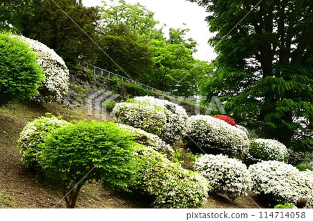 Morioka Castle Ruins Park in early summer 114714058