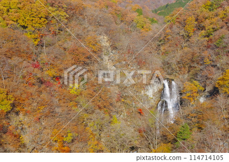 Kirifuri Falls in late autumn Kirifuri Falls in late autumn 114714105