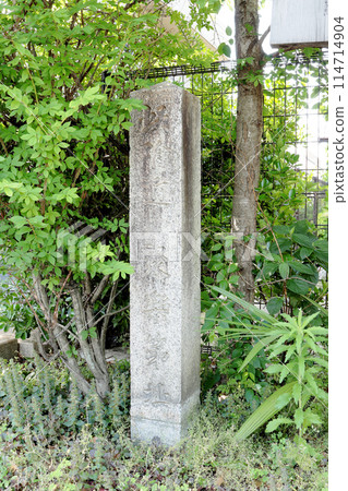 Kyoto Jurakudai Ruins 114714904