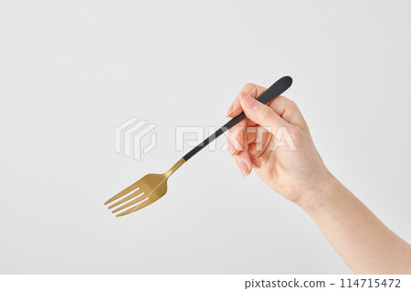 Woman's hand holding a fork 114715472
