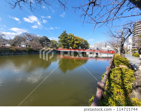 小田原城護城河和紅橋 114715744