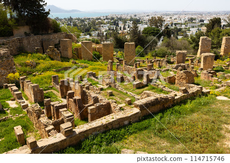 Ruins of Punic Quarter in Carthage against backdrop of modern city Ruins of Punic Quarter in Carthage against backdrop of modern city 114715746