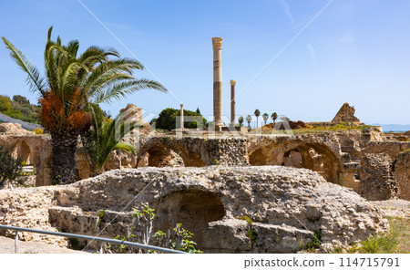 Anthony terms in excavations of Carthage. Tunisia Anthony terms in excavations of Carthage. Tunisia 114715791