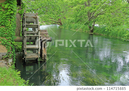 Azumino in May: Watermill at Daio Wasabi Farm 114715885