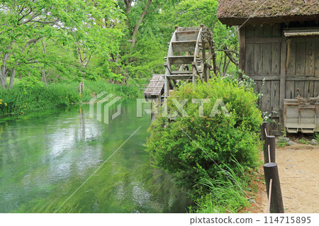 五月的安曇野：大王芥末農場的水磨坊 114715895