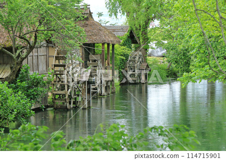 Azumino in May: Watermill at Daio Wasabi Farm 114715901