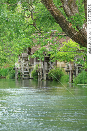 Azumino in May: Watermill at Daio Wasabi Farm Azumino in May: Watermill at Daio Wasabi Farm 114715908