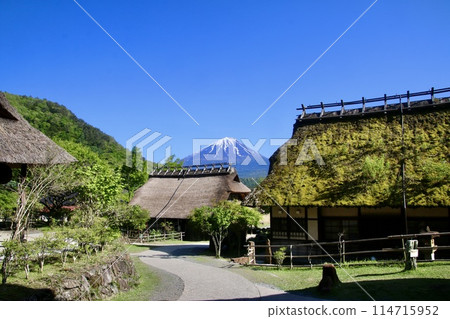 Mount Fuji from Neba, Lake Saiko Iyashinosato (Fujikawaguchiko Town, Yamanashi Prefecture) Mount Fuji from Neba, Lake Saiko Iyashinosato (Fujikawaguchiko Town, Yamanashi Prefecture) 114715952