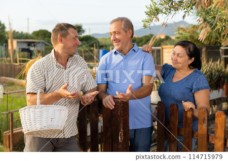 Three neighbours farmers talking together near wooden fence in garden 114715979