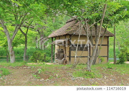 Azumino in May: Watermill at Daio Wasabi Farm Azumino in May: Watermill at Daio Wasabi Farm 114716019