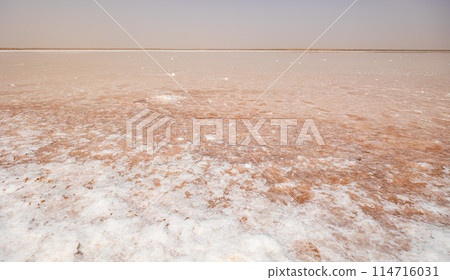 Salt flat landscape of Sebkha el Melah in Zarzis, Tunisia Salt flat landscape of Sebkha el Melah in Zarzis, Tunisia 114716031