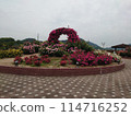 玫瑰園 114716252
