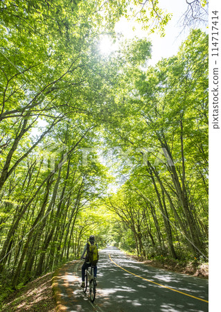 鳥取自行車之旅 - 奧台山的新綠、初夏的騎行形象（鍵掛峠附近） 114717414