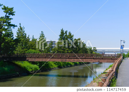 埼玉縣草加市綾瀨川沿岸 2024 年 5 月 114717459