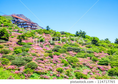 長崎縣雲仙市仁田嶺的銅綠水瓶座 114717765