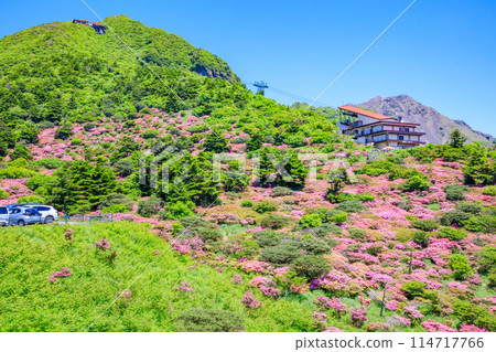 長崎縣雲仙市仁田嶺的銅綠水瓶座 114717766