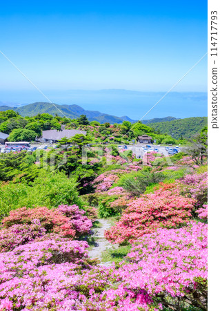 長崎縣雲仙市仁田嶺的銅綠水瓶座 長崎縣雲仙市仁田嶺的銅綠水瓶座 114717793