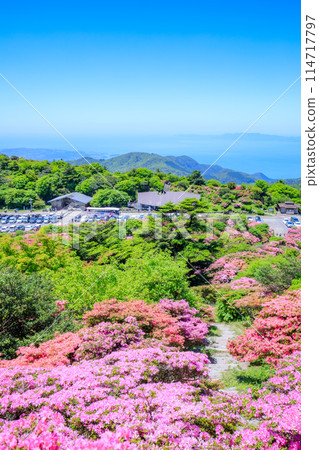 Miyamakirishi at Nita Pass, Unzen City, Nagasaki Prefecture 114717797