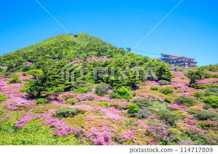 長崎縣雲仙市仁田嶺的銅綠水瓶座 114717809