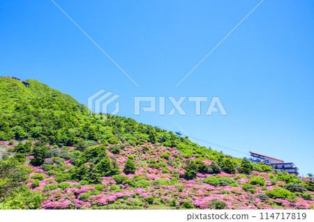 Miyamakirishi at Nita Pass, Unzen City, Nagasaki Prefecture 114717819