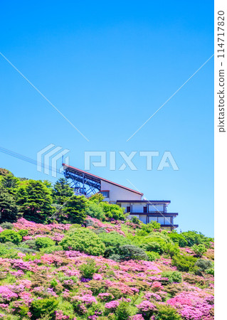 Miyamakirishi at Nita Pass, Unzen City, Nagasaki Prefecture 114717820