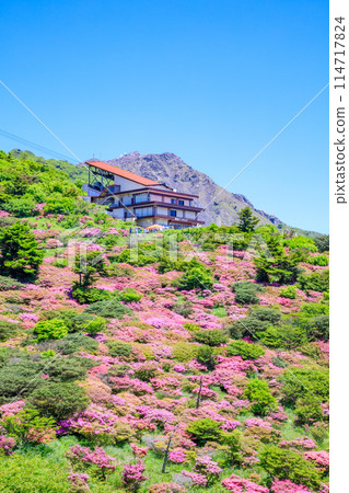 長崎縣雲仙市仁田嶺的銅綠水瓶座 114717824