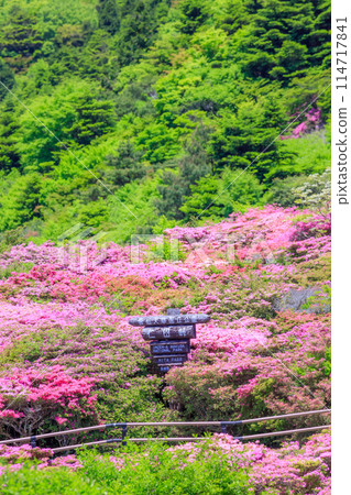 長崎縣雲仙市仁田嶺的銅綠水瓶座 長崎縣雲仙市仁田嶺的銅綠水瓶座 114717841