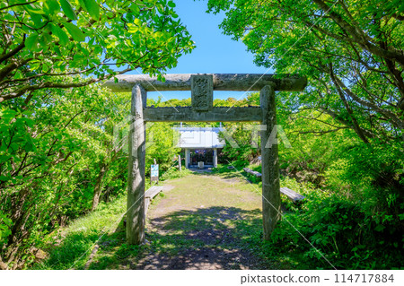 Myoken Shrine in early summer, Unzen City, Nagasaki Prefecture 114717884