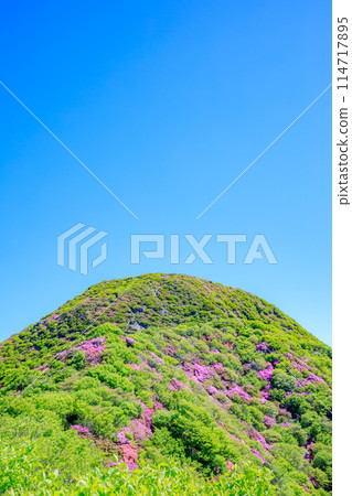 長崎縣雲仙市國見山 114717895