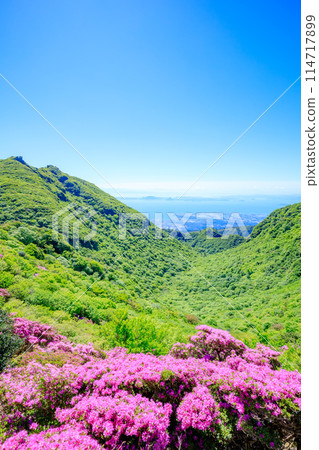 Miyamakirishi and Mount Unzen seen from the hiking trail 114717899